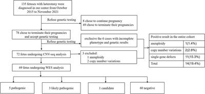 Genetic and Clinical Features of Heterotaxy in a Prenatal Cohort